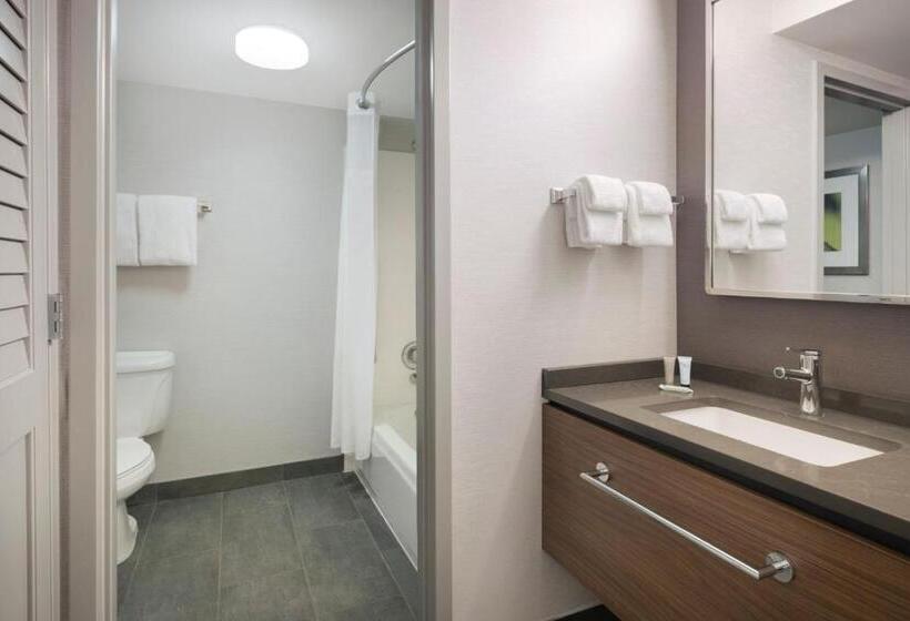장애인을 위한 킹사이즈 침대 스탠다드 룸, Courtyard Tampa North/i75 Fletcher