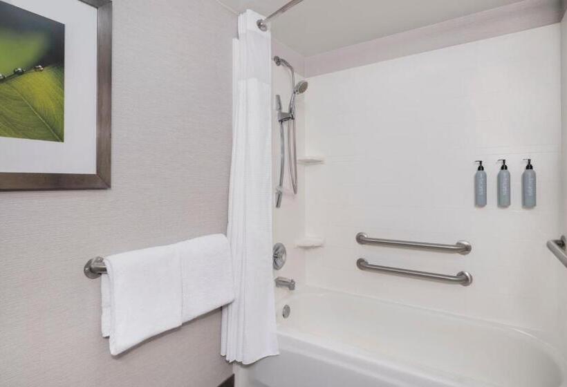 غرفة قياسية سرير كينج لذوى الإحتياجات الخاصة, Courtyard Tampa North/i75 Fletcher