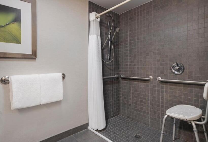 غرفة قياسية سرير كينج لذوى الإحتياجات الخاصة, Courtyard Tampa North/i75 Fletcher