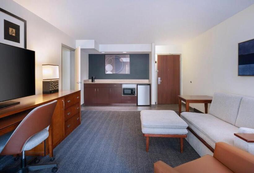 발코니가 있는 스위트, Courtyard Tampa North/i75 Fletcher