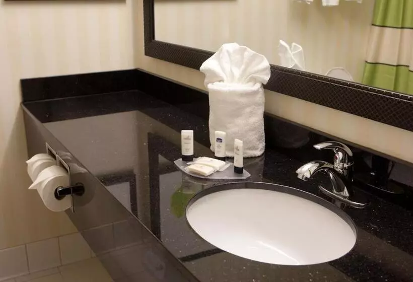 キングサイドベッドのスタンダードワンルーム, Fairfield Inn & Suites By Marriott Memphis East Galleria