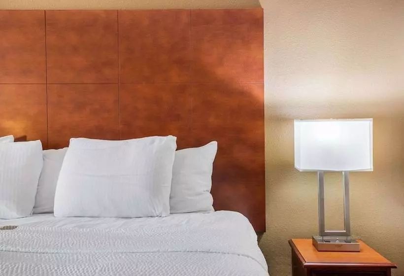 プレジデントスイートルーム, La Quinta Inn By Wyndham Decatur Alabama