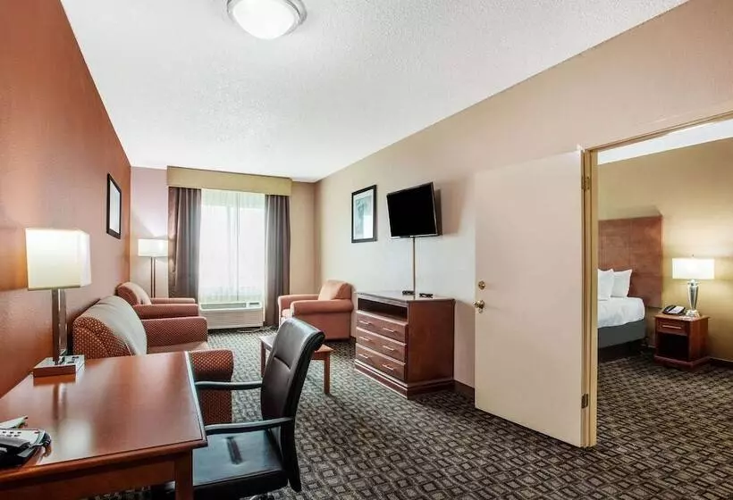 プレジデントスイートルーム, La Quinta Inn By Wyndham Decatur Alabama