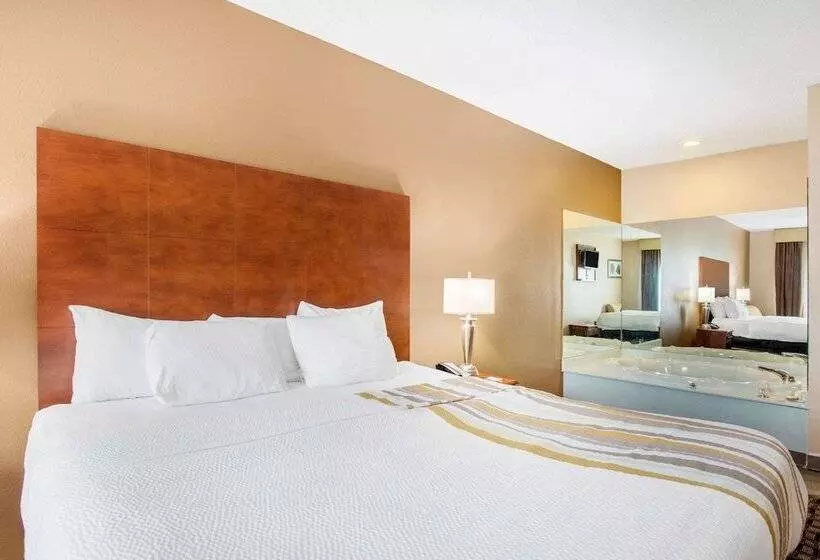 プレジデントスイートルーム, La Quinta Inn By Wyndham Decatur Alabama