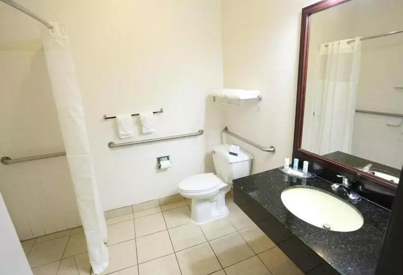 身障者適用スイートルーム, Quality Suites Burleson   Ft Worth