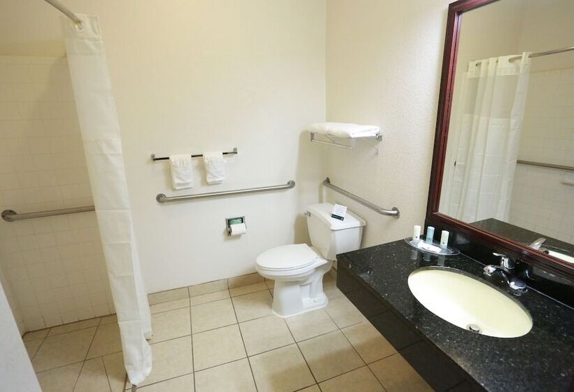 جناح, Quality Suites Burleson   Ft Worth