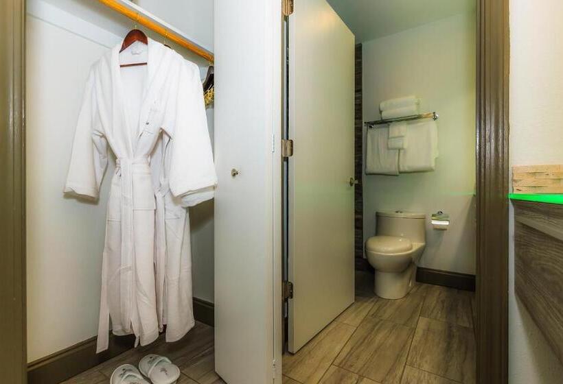 غرفة قياسية مزوَّدة بشُرفة, Regalia Hotel & Conference Center