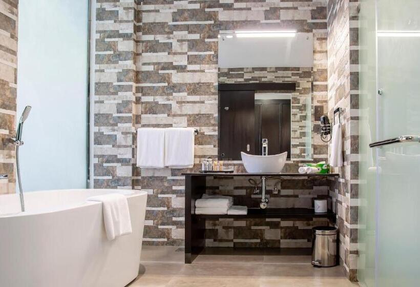 اتاق لوکس, Amaryllis Hotel Blantyre