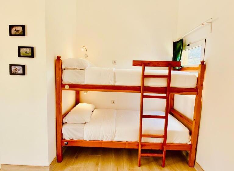 تختخواب در اتاق مشترک, Oasis Backpackers Hostel Sintra Surf