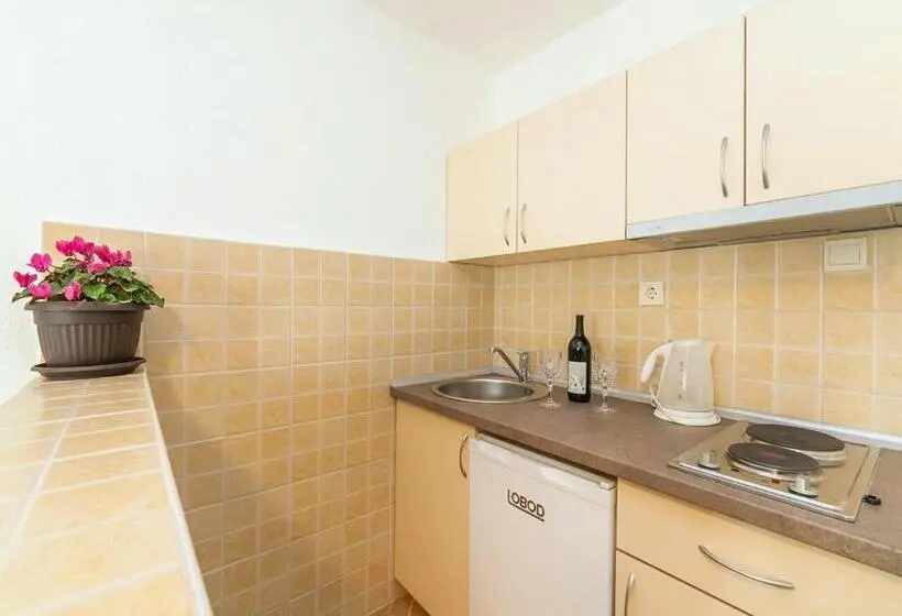 استودیو استاندارد با تراس, Hana Accommodation
