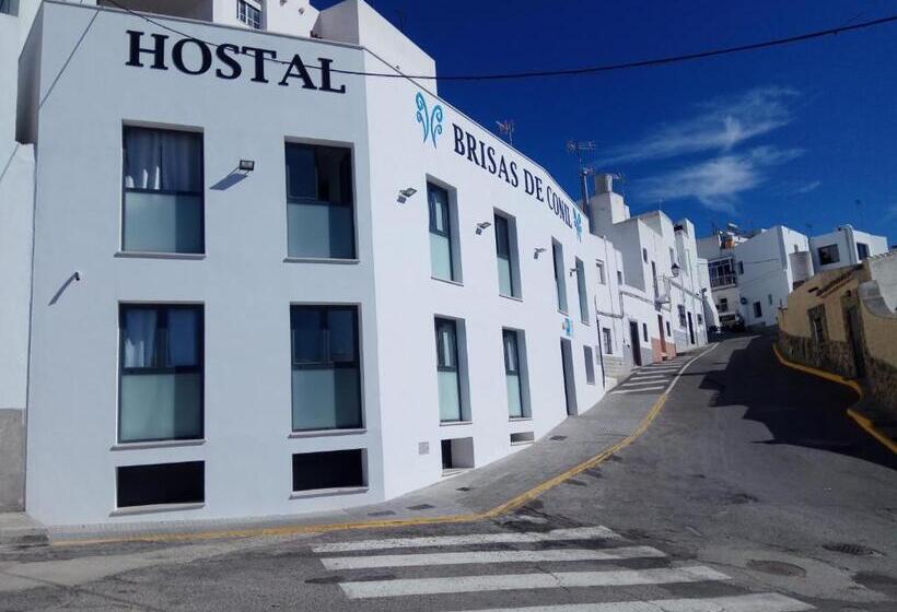 シングルベーシックルーム, Hostal Brisas De Conil