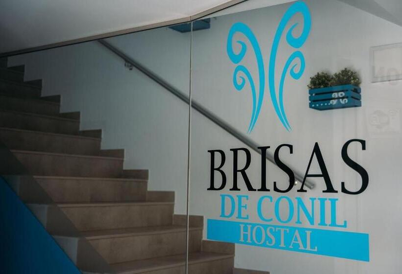 片側に海が見えるスタンダードシングルルーム, Hostal Brisas De Conil