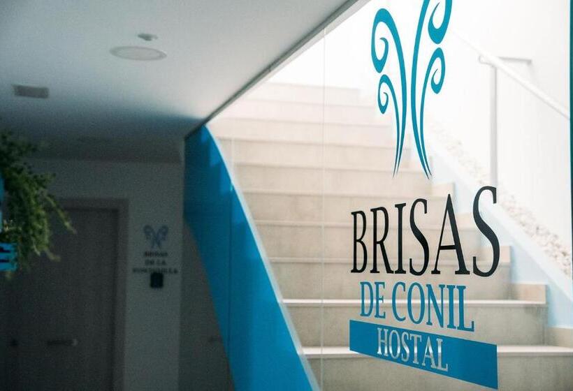 オーシャンビュースタンダードルーム, Hostal Brisas De Conil