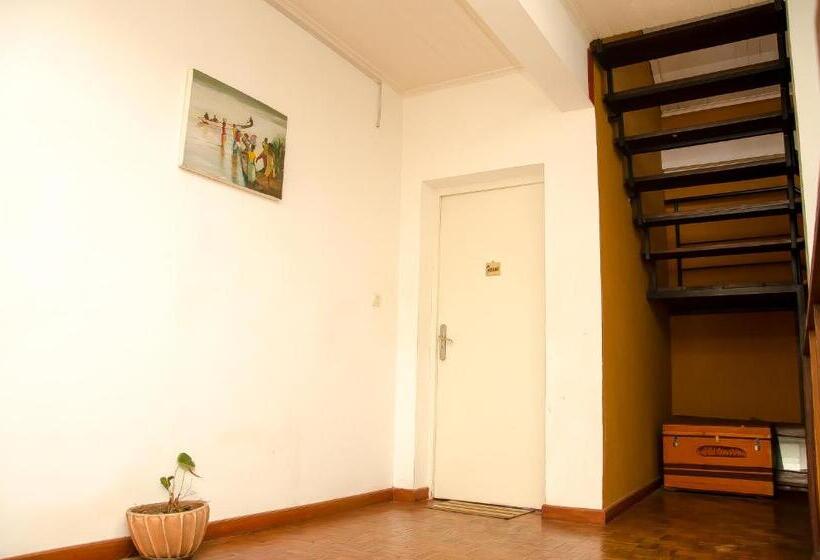 اتاق استاندارد, Ny Telomiova