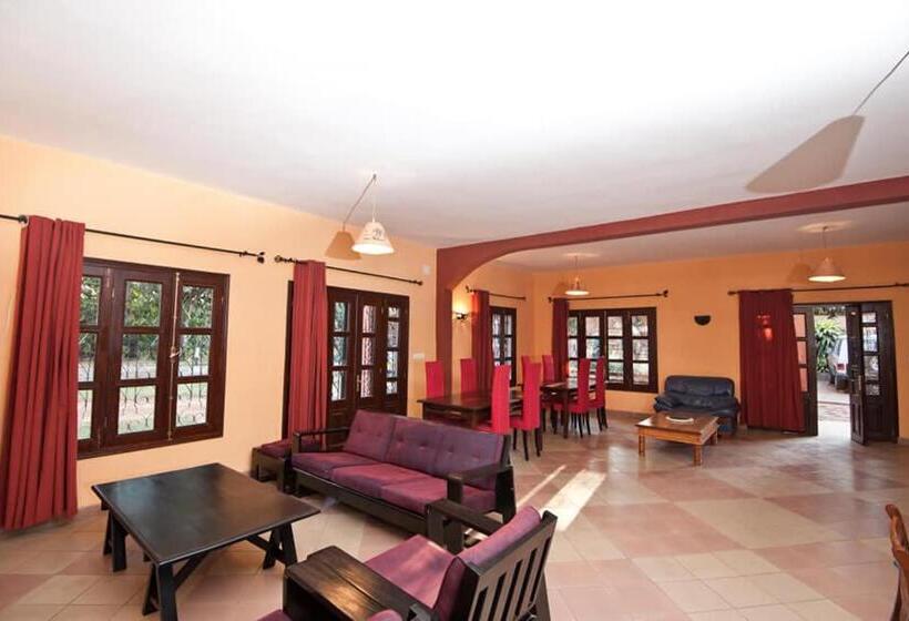 اتاق خانوادگی, Ny Telomiova