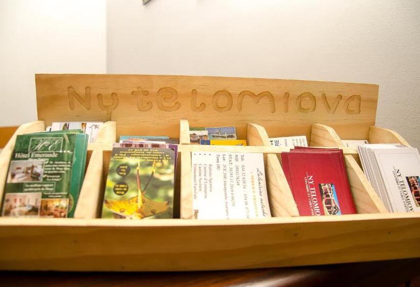 تختخواب در اتاق مشترک, Ny Telomiova