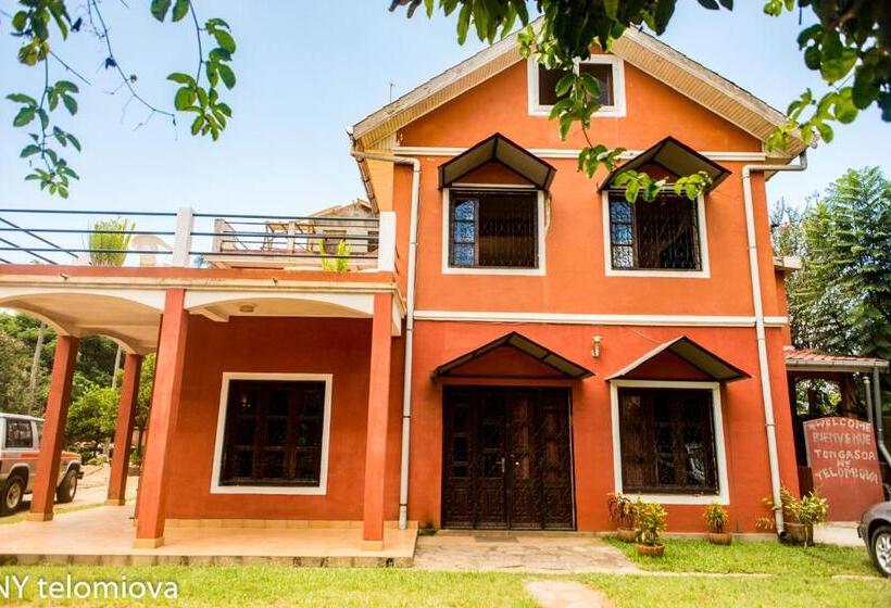 اتاق استاندارد, Ny Telomiova