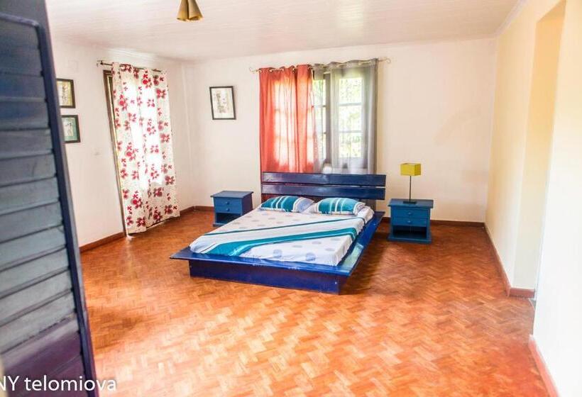 اتاق استاندارد, Ny Telomiova