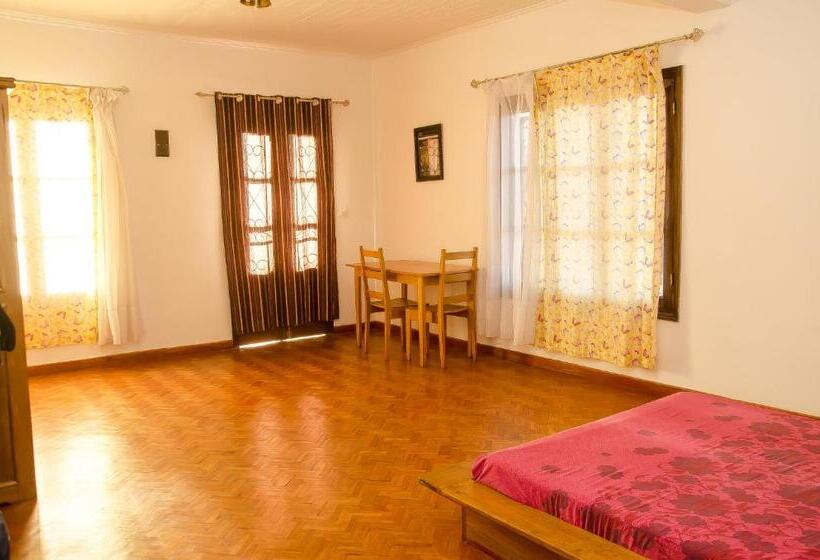 اتاق استاندارد, Ny Telomiova