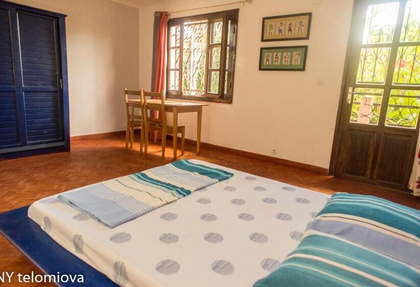 اتاق استاندارد, Ny Telomiova