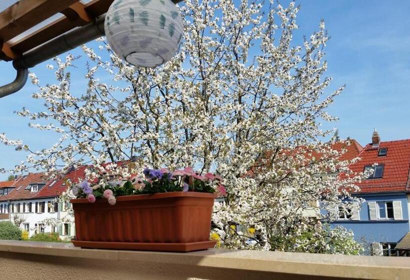 غرفة قياسية مزوَّدة بشُرفة, Pension A La Kleinert