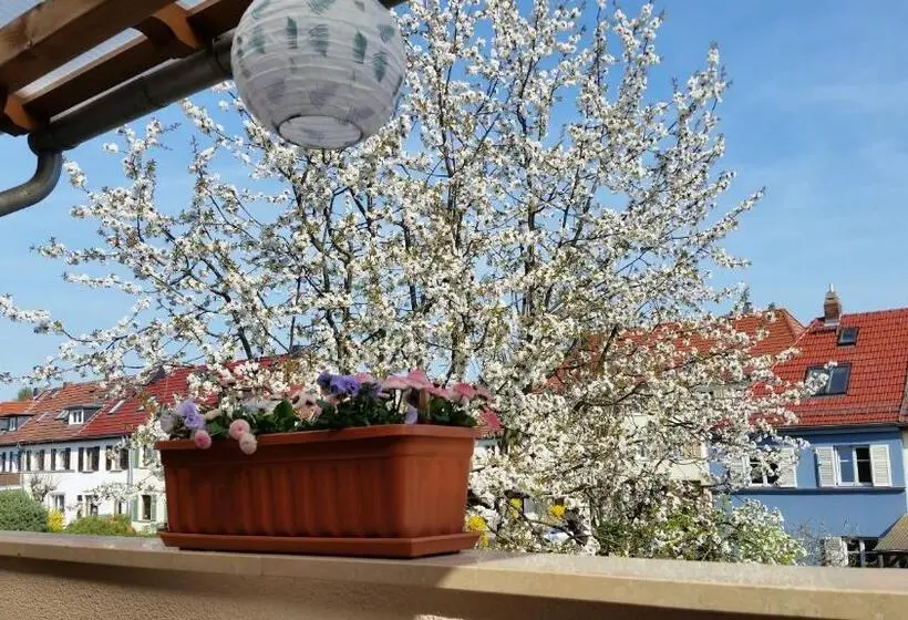 Standard-huone Parveke, Pension A La Kleinert
