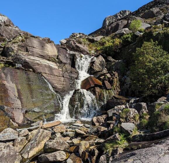 디럭스 룸, Bryn Elltyd Eco House