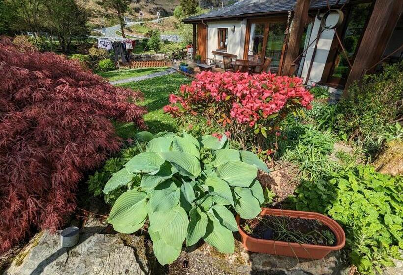 디럭스 룸, Bryn Elltyd Eco House