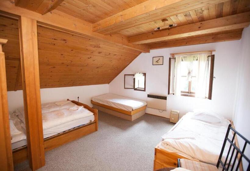 חדר סטנדרט לארבעה, Horská Chata Jonáš