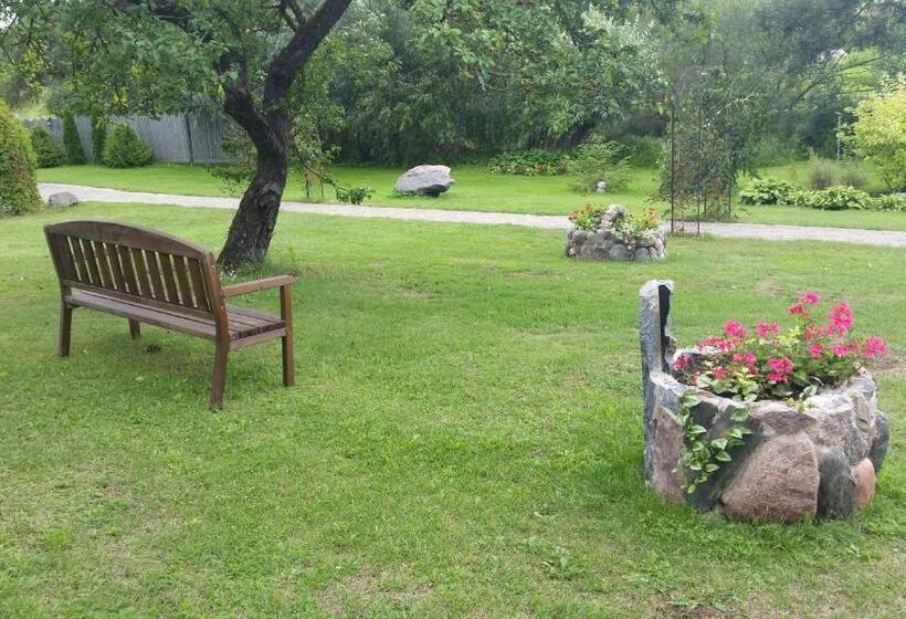 خانه 1 خوابه, Pie Pētera