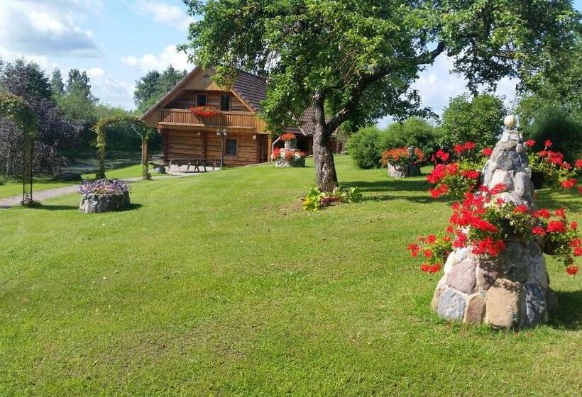 اتاق استاندارد, Pie Pētera