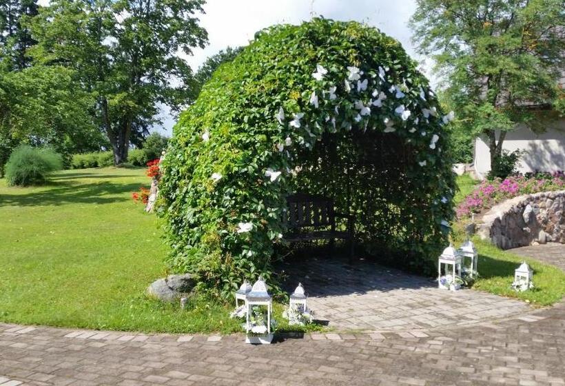 اتاق استاندارد, Pie Pētera