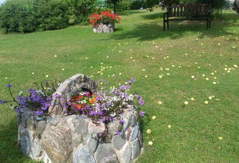 اتاق استاندارد, Pie Pētera