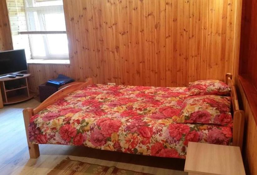 اتاق استاندارد, Pie Pētera