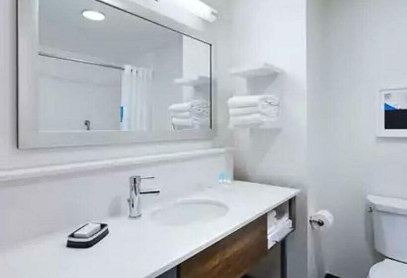 장애인을 위한 킹사이즈 침대 스탠다드 룸, Hampton Inn & Suites Kutztown