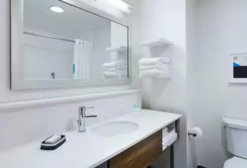 身障者適用キングサイズベッドルーム, Hampton Inn & Suites Kutztown
