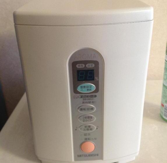 חדר סטנדרט, Pension Ohno