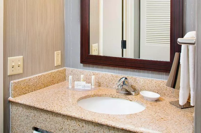 اتاق استاندارد با تخت بزرگ, Courtyard By Marriott Ann Arbor