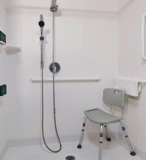 חדר סטנדרט עם מיטת קינג, Courtyard By Marriott Ann Arbor