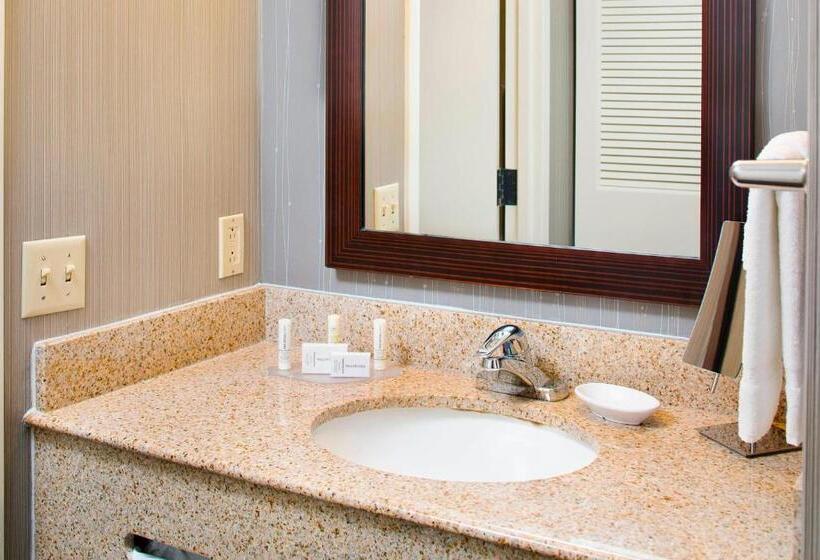 带大床的标准间, Courtyard By Marriott Ann Arbor