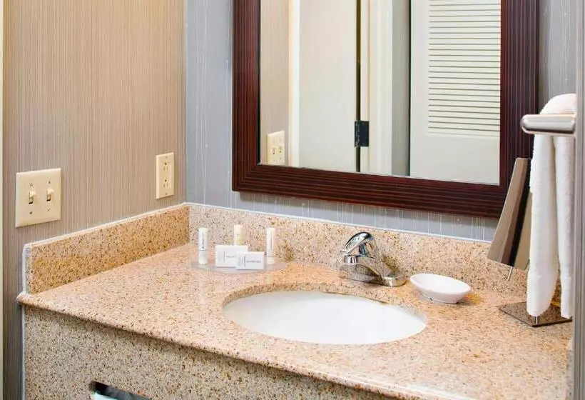 اتاق استاندارد با تخت بزرگ, Courtyard By Marriott Ann Arbor