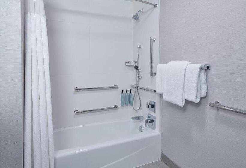 스탠다드 룸 킹사이즈 침대, Courtyard By Marriott Detroit Livonia