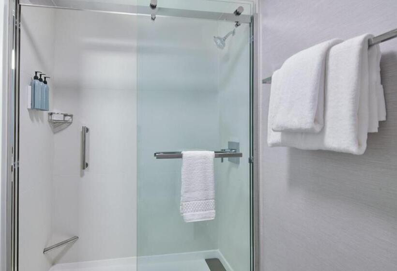 스탠다드 룸 킹사이즈 침대, Courtyard By Marriott Detroit Livonia