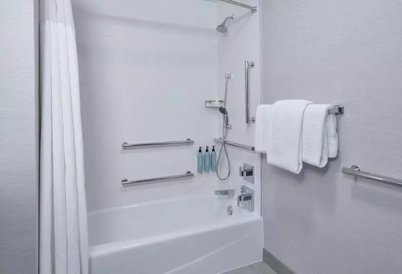 スタンダードルーム, Courtyard By Marriott Detroit Livonia