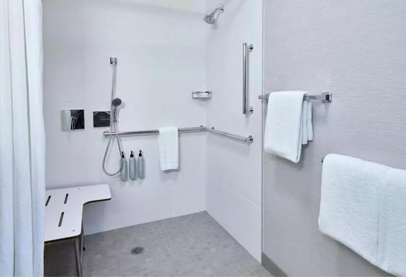 スタンダードルーム, Courtyard By Marriott Detroit Livonia