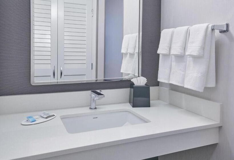 스탠다드 룸, Courtyard By Marriott Detroit Livonia