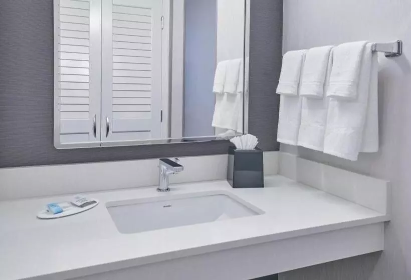 スタンダードルーム, Courtyard By Marriott Detroit Livonia