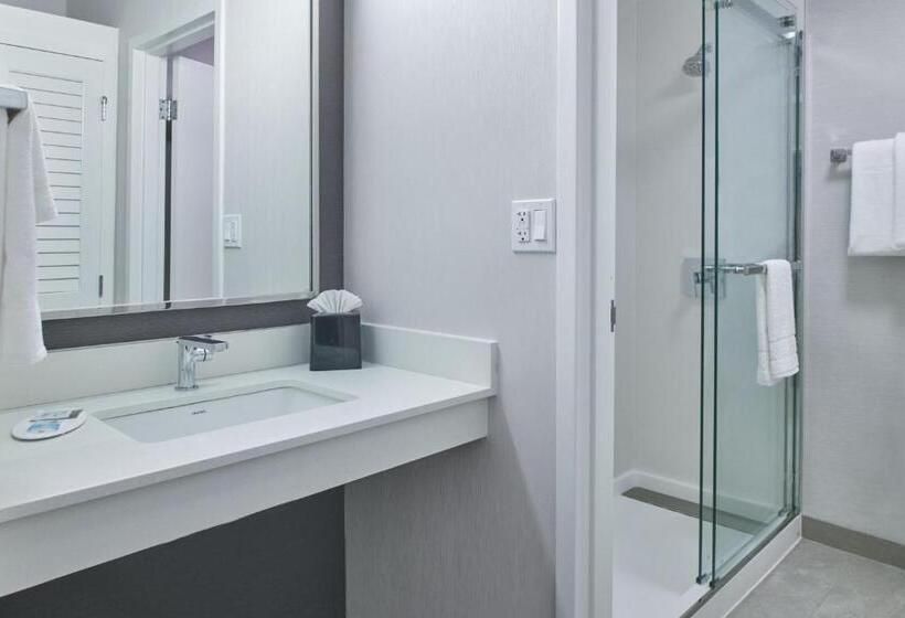 스위트 킹사이즈 침대, Courtyard By Marriott Detroit Livonia