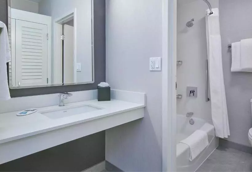 キングサイズベッドのスイートルーム, Courtyard By Marriott Detroit Livonia