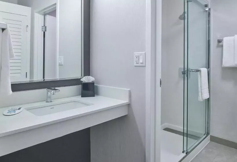 スイート, Courtyard By Marriott Detroit Livonia